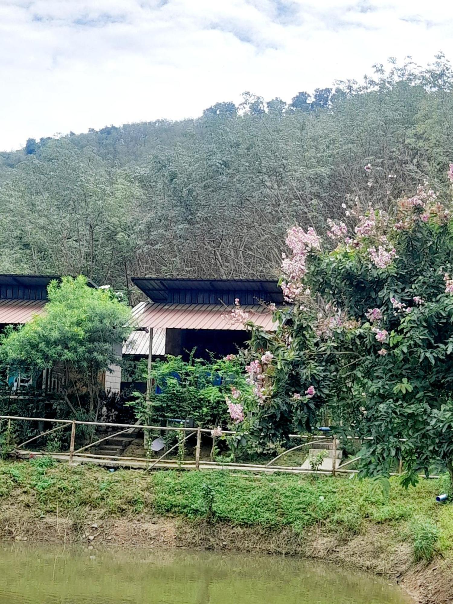 Koh Mook Bamboo Bungalows Luaran gambar